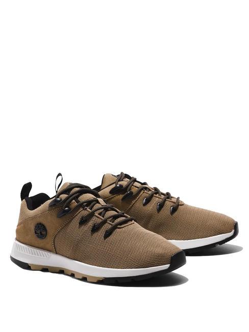 TIMBERLAND SPRINT TREKKER Low Knit Sneakers petrified oak - Scarpe Uomo