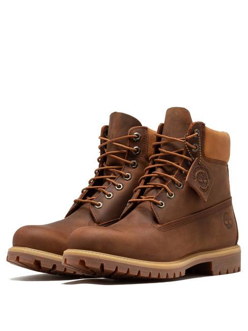 TIMBERLAND PREMIUM 6  Anfibi in pelle cathay spice - Scarpe Uomo