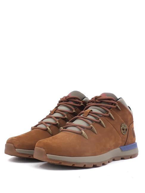 TIMBERLAND SPRINT TREKKER Scarponcini da trekking saddle - Scarpe Uomo