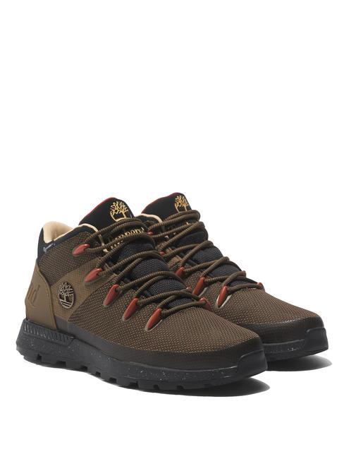 TIMBERLAND SPRINT TREKKER Sneakers milolive - Scarpe Uomo