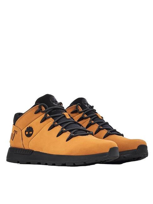 TIMBERLAND SPRINT TREKKER  Sneakers in pelle wheat - Scarpe Uomo