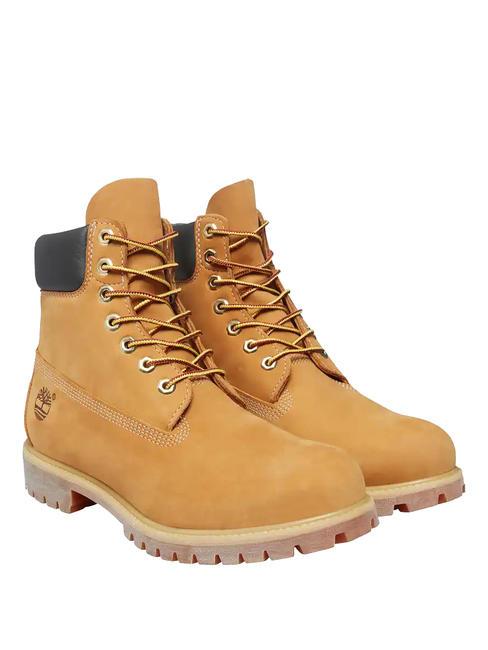 TIMBERLAND 6 INCH  Stivaletti in pelle yellow - Scarpe Donna