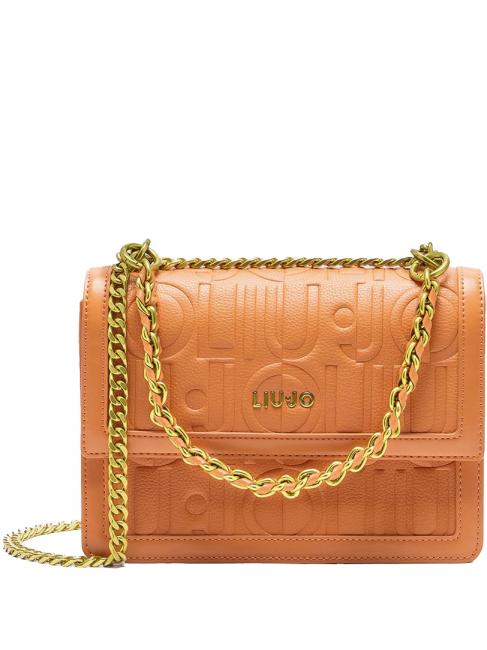 LIUJO ADONIDE Borsa con flap convertible bran - Borse Donna